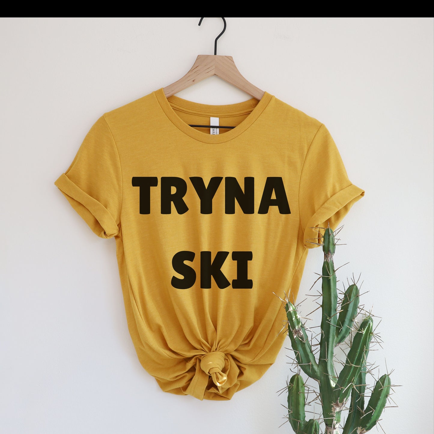 Tryna Ski